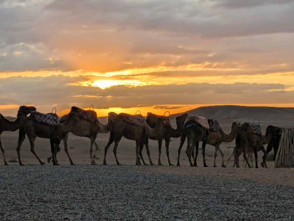 Escape the Ordinary: 10 Destinations You’ve Never Thought to Visit