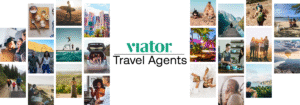 Viator article image