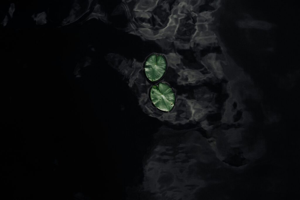 Wanderlust Unleashed: Top 10 Must-Visit Destinations for Every Traveler