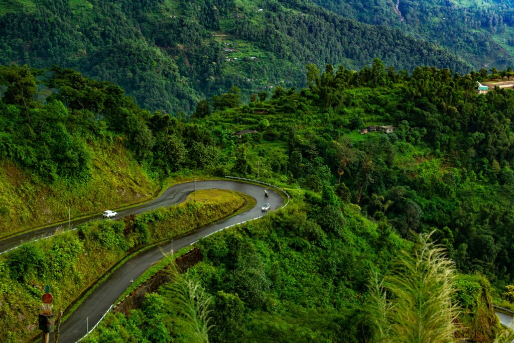 Culinary Journeys: Exploring the World’s Best Food Destinations