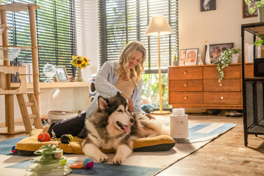 The Wellness Routine of High-Maintenance Pets: Grooming, Supplements, and Spa Therapy