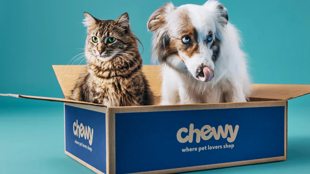Top Pet Travel Essentials on Chewy for Safe and Stress-Free Adventures