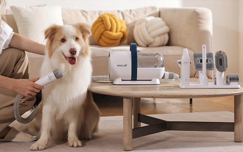 Best Luxury Pet Gadgets Every Modern Pet Owner Needs on Chewy