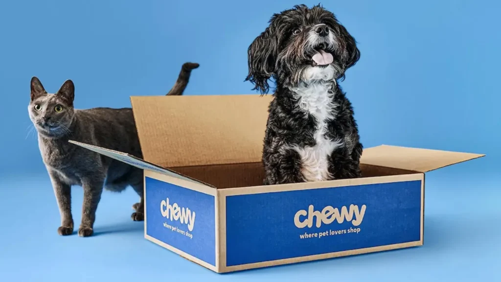Best Orthopedic Pet Products on Chewy for Senior Dogs and Cats