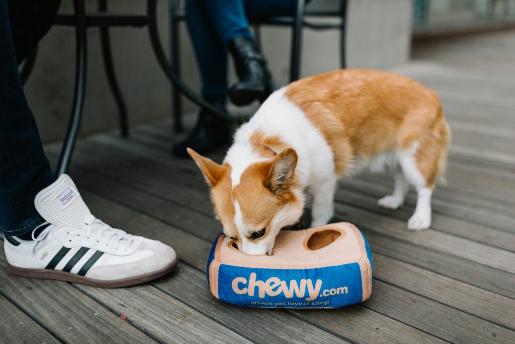The Ultimate New Pet Owner Shopping List: Everything You Need from Chewy